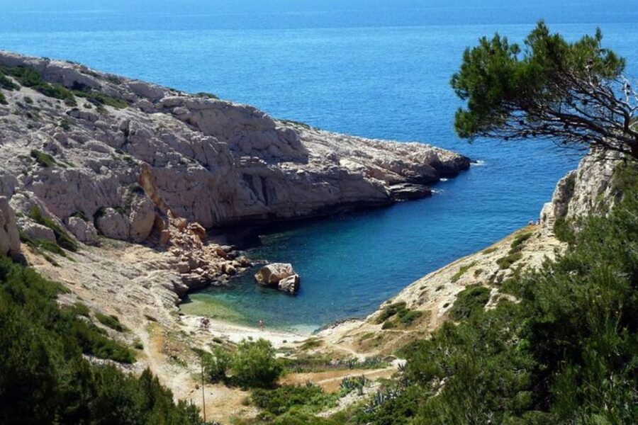 Marseilles: Private Custom Tour with a Local Guide - Museums, tickets, food, and the true cost