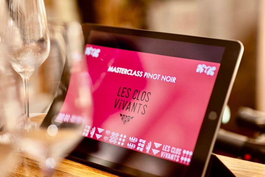 🍷 Masterclass Pinot Noir - Wine tasting in Dijon 🇫🇷 - Who will enjoy this most