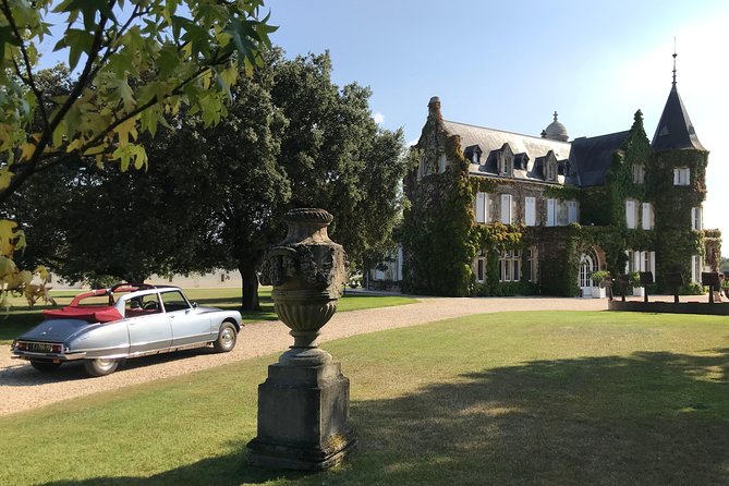 Médoc luxury wine tour aboard a Citroën DS Limousine Convertible - Boutique wineries and biodynamic wine making