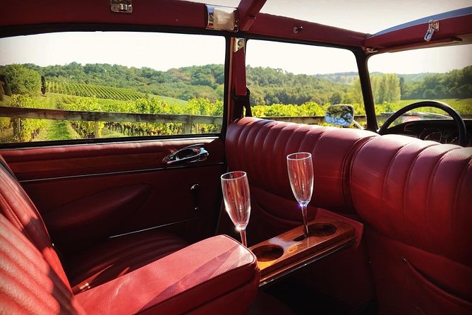 Médoc luxury wine tour aboard a Citroën DS Limousine Convertible - Guillaume, the driver-guide, and the private format