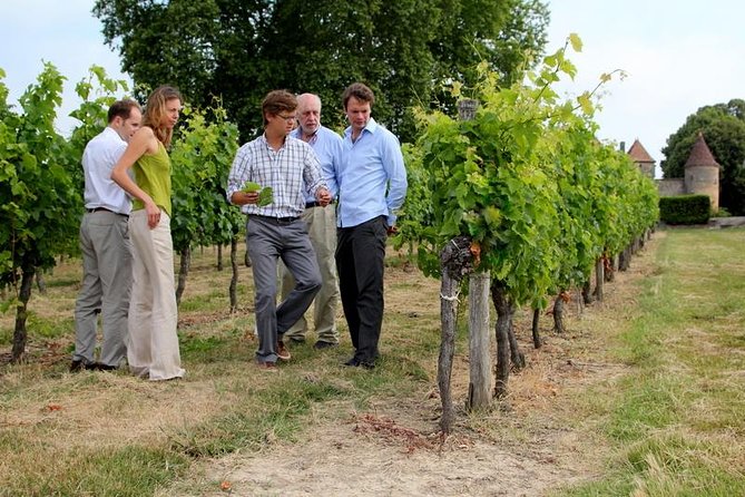 Medoc or Saint Emilion Wine Tasting and Chateau from Bordeaux - Two Bordeaux wine regions, two very different afternoons