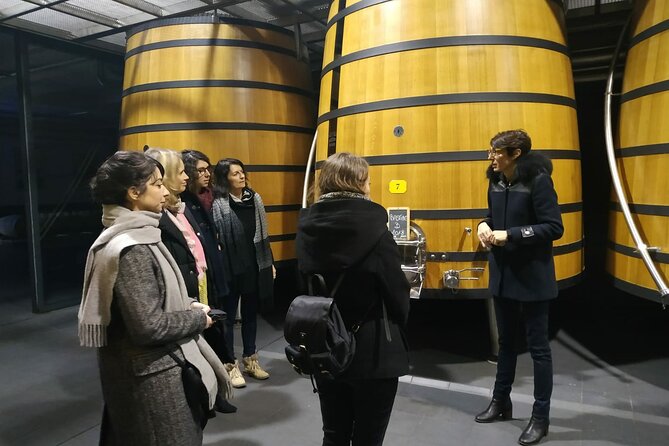Medoc Region Wine Day Trip with Vineyard Visits & Tastings from Bordeaux - First château: Margaux or Saint-Julien