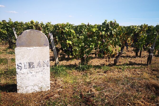 Medoc Region Wine Day Trip with Vineyard Visits & Tastings from Bordeaux - Second tasting in Pauillac or Saint-Estèphe