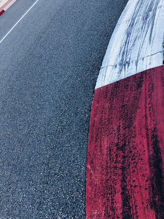 Monaco Formula 1 Walking Tour - The Inside Track Monaco F1 - Who should book this walk?