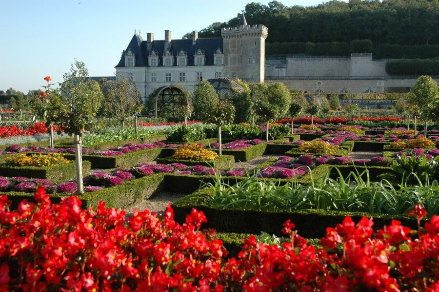 Mont Saint-Michel & Chateaux Country 3-Day Tour from Paris - Day two: Langeais, Leonardo, Villandry, and Tours