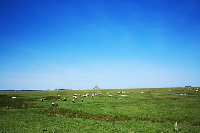 Mont Saint-Michel Day Trip from Bayeux (Shared tour) - Walking the village and ramparts