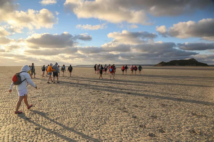 Mont-saint-Michel : Walk in the heart of the Bay - Key points to know before crossing the bay