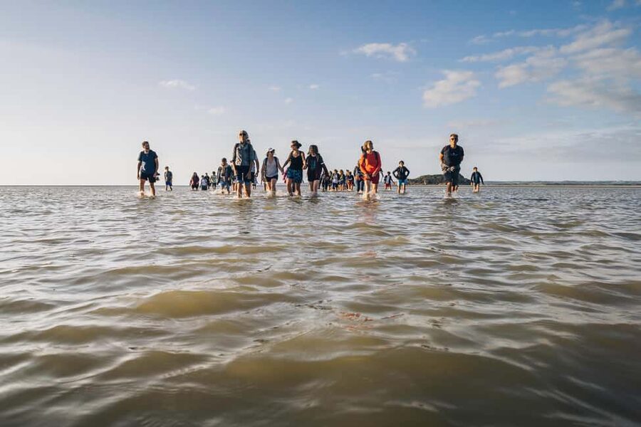 Mont-saint-Michel : Walk in the heart of the Bay - Rivers up to your thighs