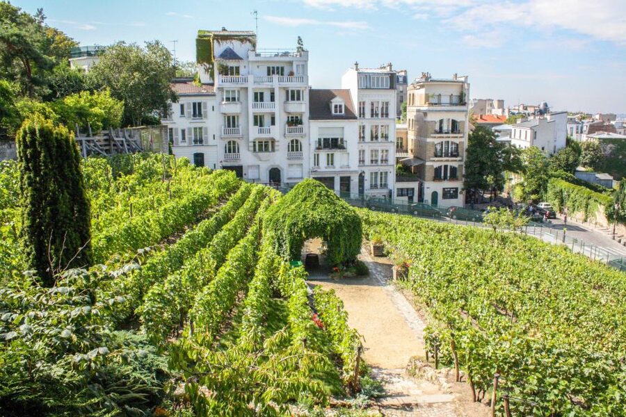 Montmartre & Sacré Coeur: 2.5-Hour Walking Tour - Key points to know before booking