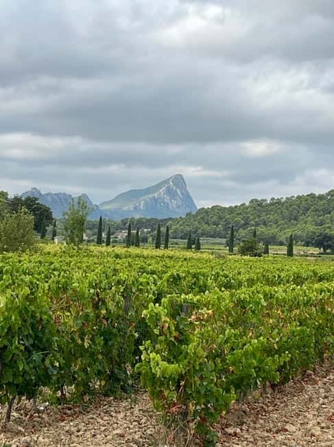 Montpellier: Pic Saint-Loup Wine Tour - Key points before you book