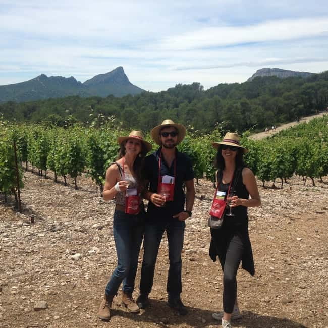 Montpellier: Pic Saint-Loup Wine Tour - What the five hours feel like
