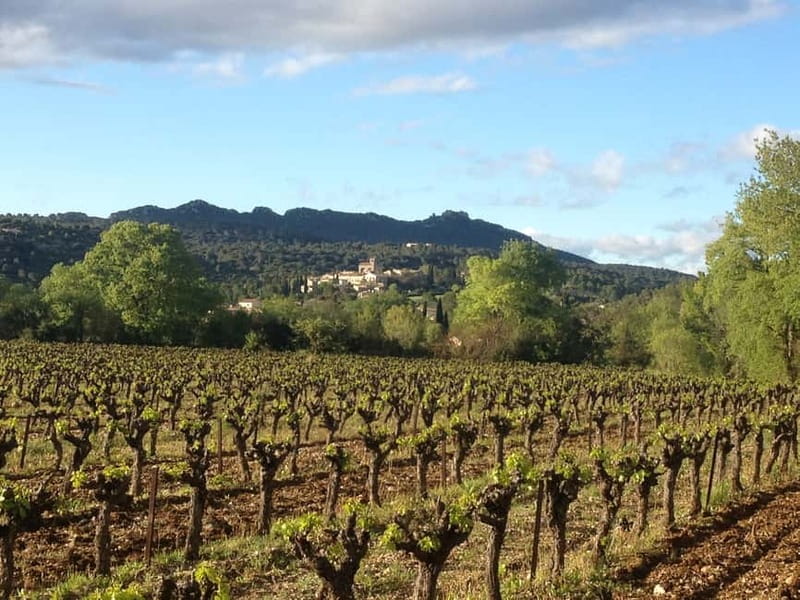 Montpellier: Pic Saint-Loup Wine Tour - Is the $99 price fair?