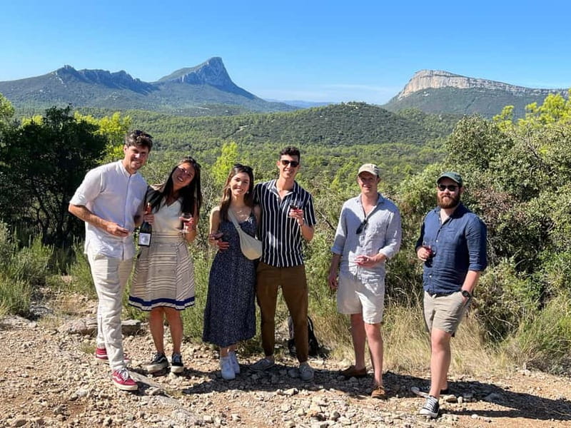 Montpellier: Pic Saint-Loup Wine Tour - Why Pic Saint-Loup wine matters