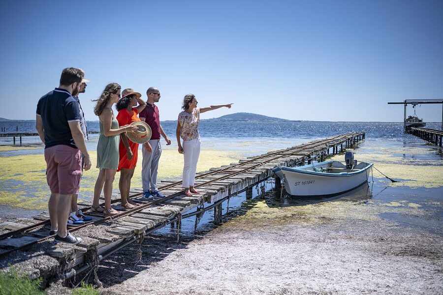 Montpellier Wine and Oyster Tour - What the morning feels like