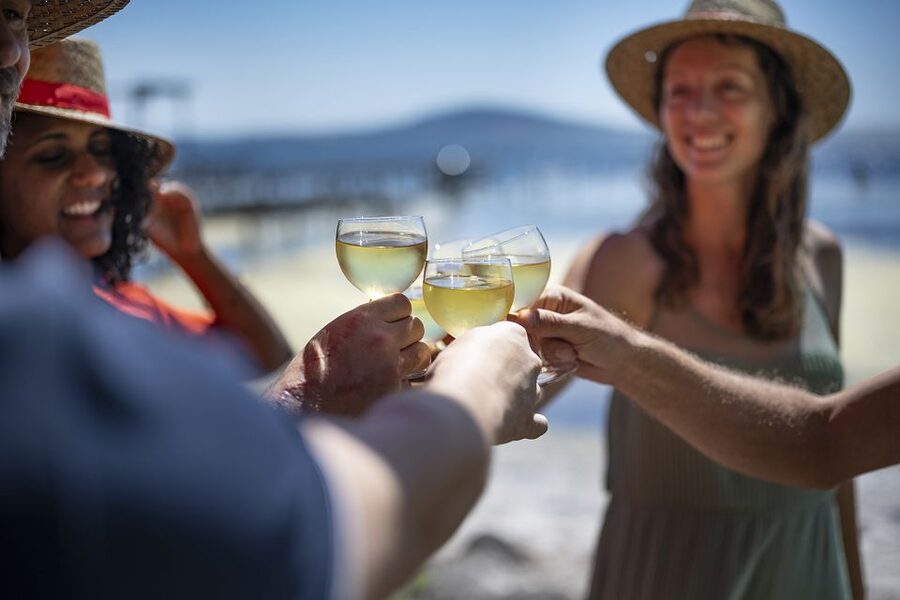 Montpellier Wine and Oyster Tour - Who should book this Montpellier tour?