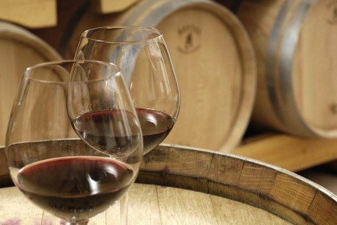 Morning Wine Tour to Chateauneuf du Pape from Avignon - What the wine tasting actually teaches you