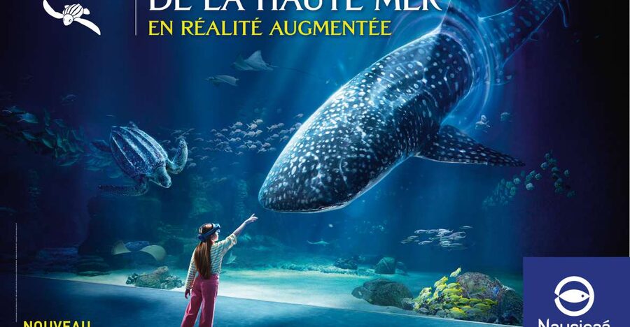 Nausicaá National Sea Center: Full-Day Entry Ticket - Key points at a glance