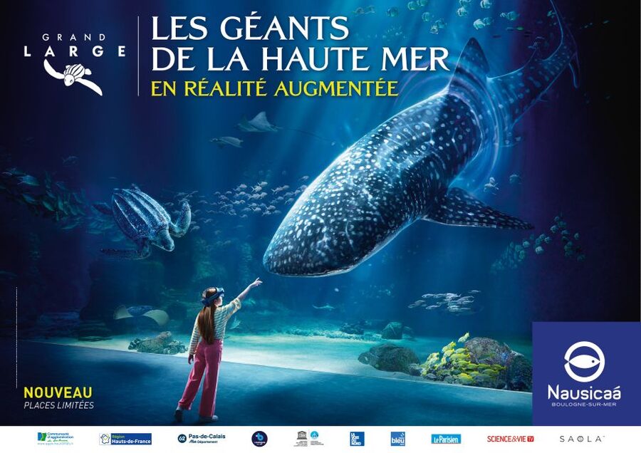 Nausicaá National Sea Center: Full-Day Entry Ticket - The animals that make the strongest impression
