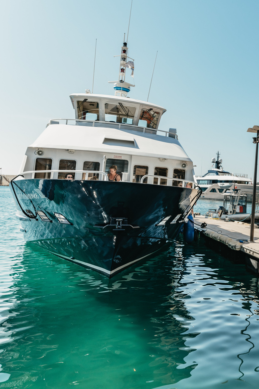 Nice: 1-Hour Sightseeing Cruise to Villefranche Bay - The Baie des Anges and Nice from offshore