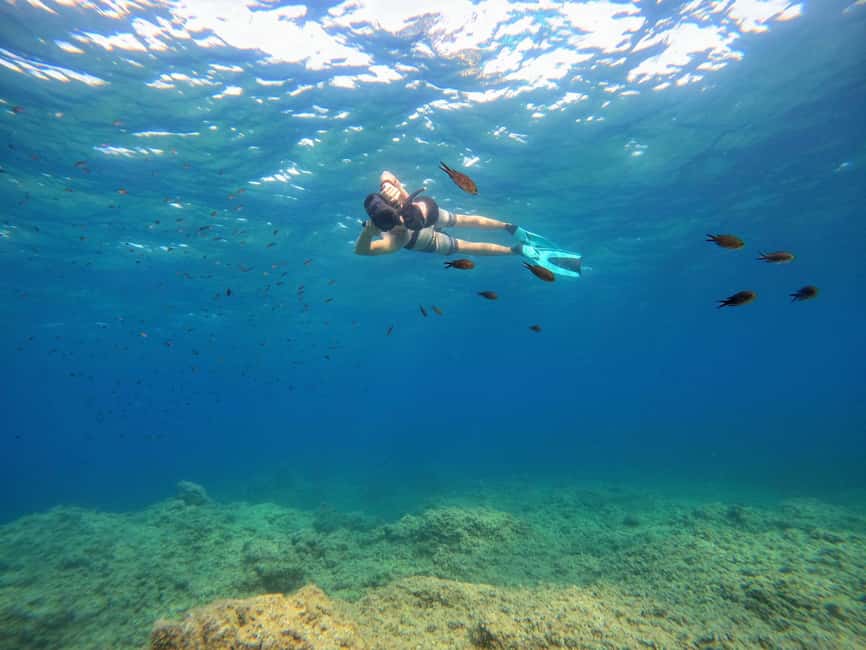 Nice, Cap d'Ail: Sea Scooter Snorkeling Tour - The Instructor and the Wildlife Lesson