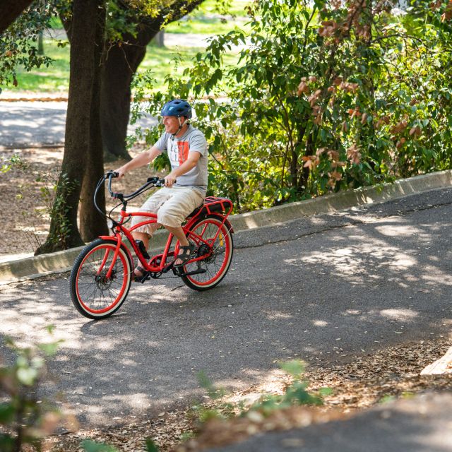 Nice: E-Bike City Highlights Tour - Place Garibaldi and Place Massena