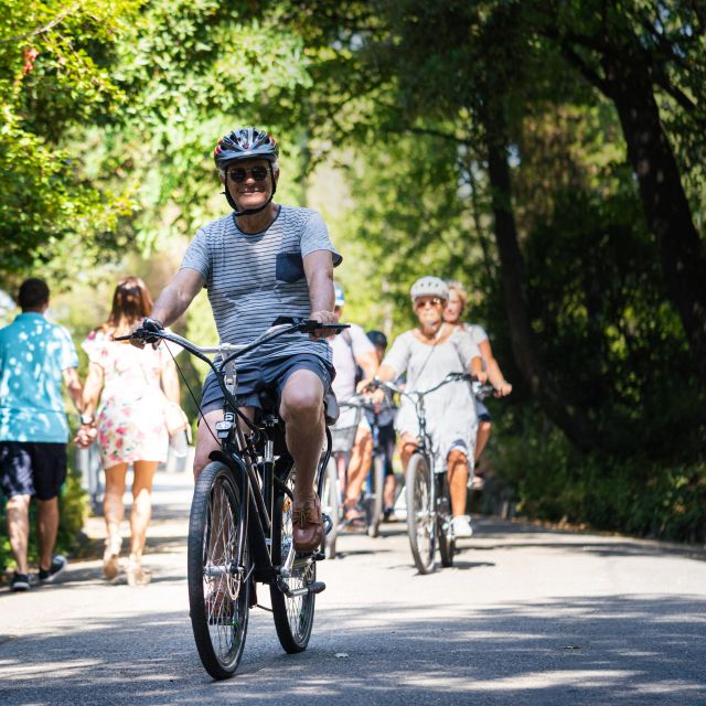 Nice: E-Bike City Highlights Tour - Bikes, pace, and physical demands