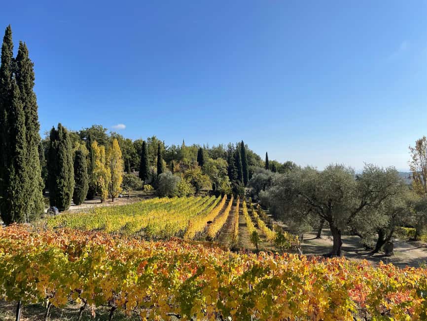 Nice: Full-Day Côtes de Provence Wine Tour - Key points at a glance