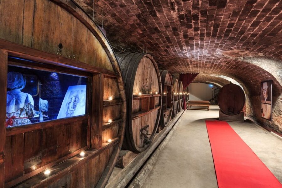 Nice: Full-Day Côtes de Provence Wine Tour - The first winery: start with the foundations