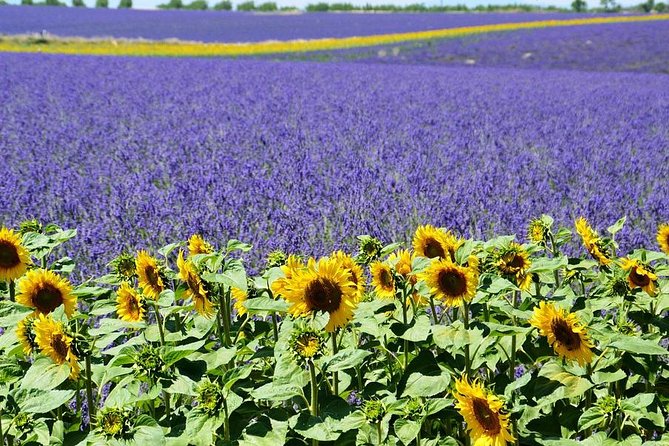 Nice: Gorges of Verdon and Fields of Lavender Tour - Lake Sainte-Croix and the water below the cliffs