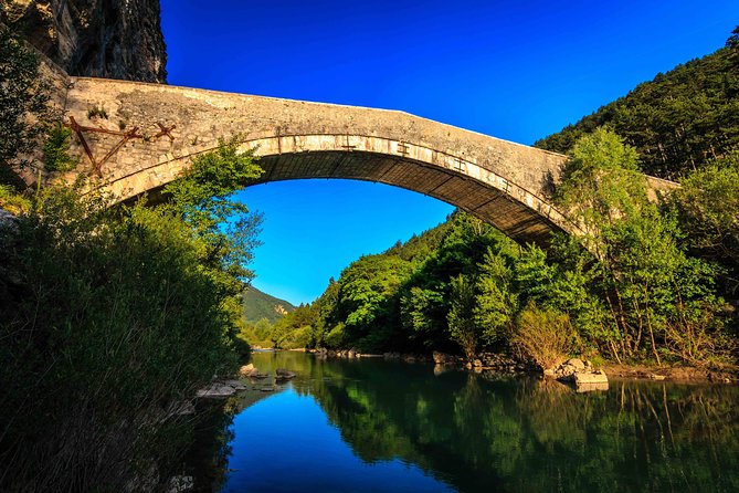 Nice: Gorges of Verdon and Fields of Lavender Tour - Lavender fields with the Alps behind them