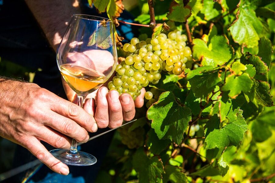 Nice: Provence Village Tour with Wine and Produce Tasting - Key points to know before booking