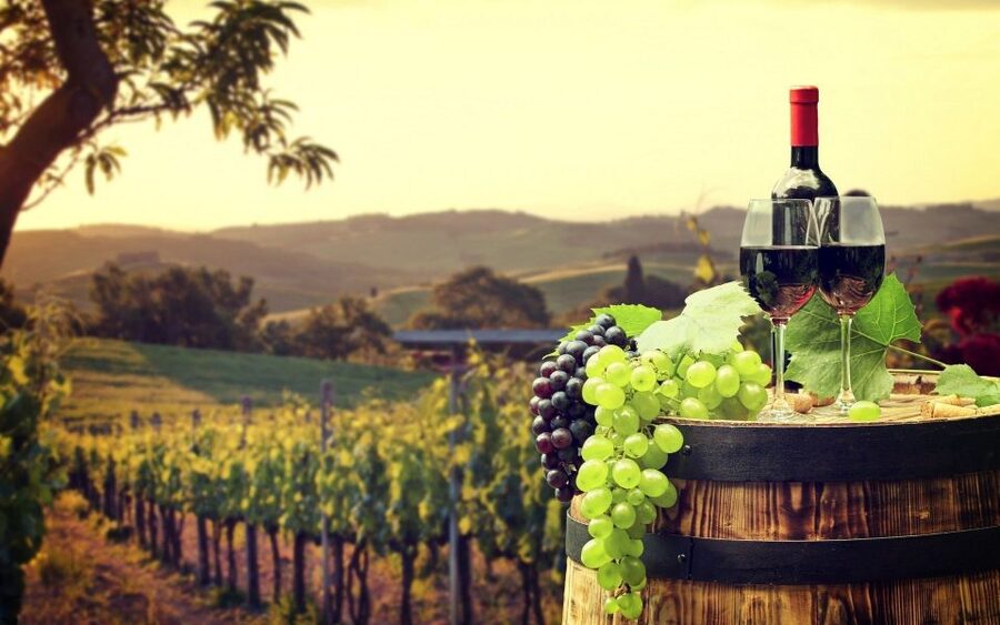 Nice: Provence Village Tour with Wine and Produce Tasting - Opio and the old olive mill