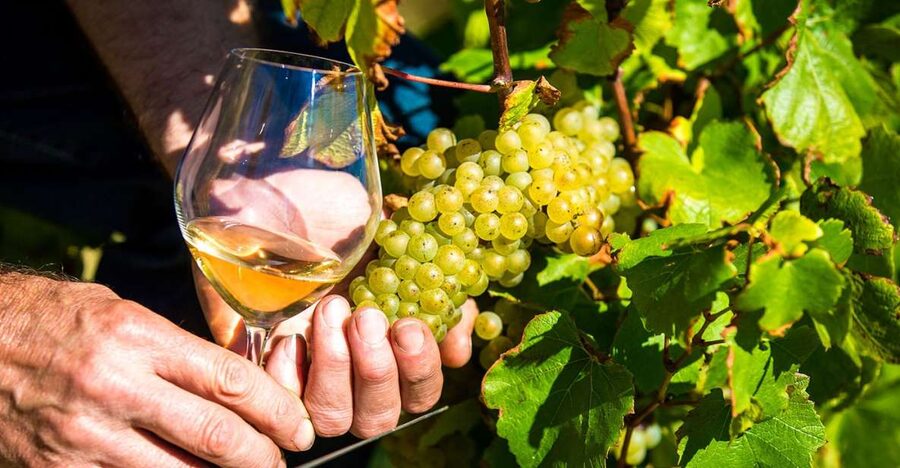Nice: Provence Village Tour with Wine and Produce Tasting - Biot glass, where craft comes before scenery