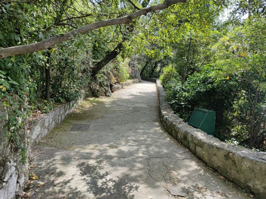 Nice: Sightseeing Walking Tour with certified tour guide - Key points to know before booking