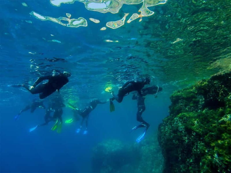 Nice: Snorkeling Speedboat Tour in Villefranche Bay - Why the speedboat makes sense from Nice