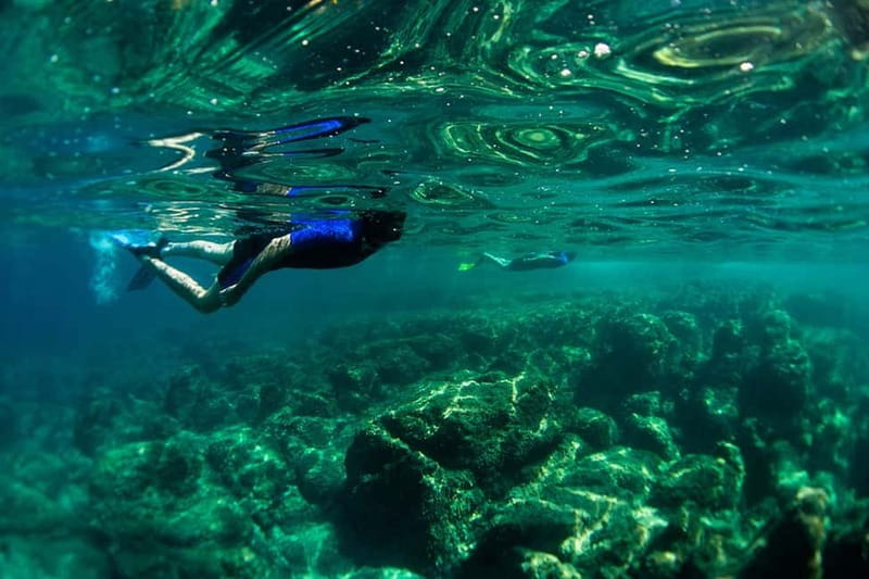 Nice: Snorkeling Speedboat Tour in Villefranche Bay - The 15-minute ride past Nice and Cap-Ferrat