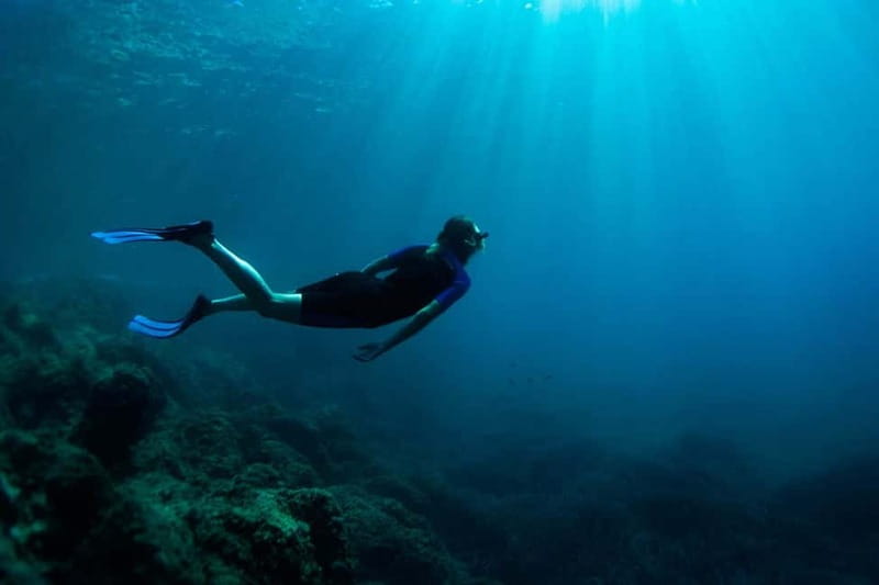 Nice: Snorkeling Speedboat Tour in Villefranche Bay - An hour of snorkeling in Villefranche Bay