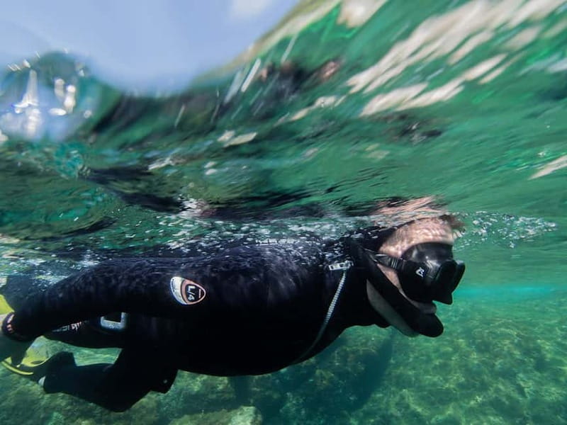 Nice: Snorkeling Speedboat Tour in Villefranche Bay - What the $68 price includes