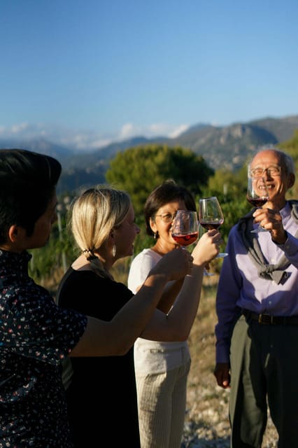 Nice: Vineyard Tour with Wine Tasting - Five useful things to know before you book