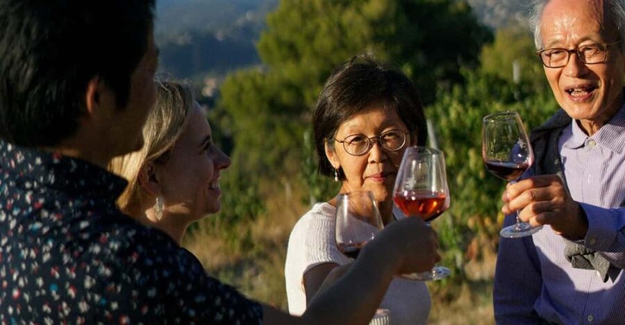Nice: Vineyard Tour with Wine Tasting - One hour of vineyard and winemaking lessons