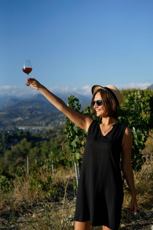 Nice: Vineyard Tour with Wine Tasting - Thirty minutes of free time, with a useful purpose