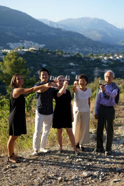 Nice: Vineyard Tour with Wine Tasting - Who will enjoy this Nice wine tour?