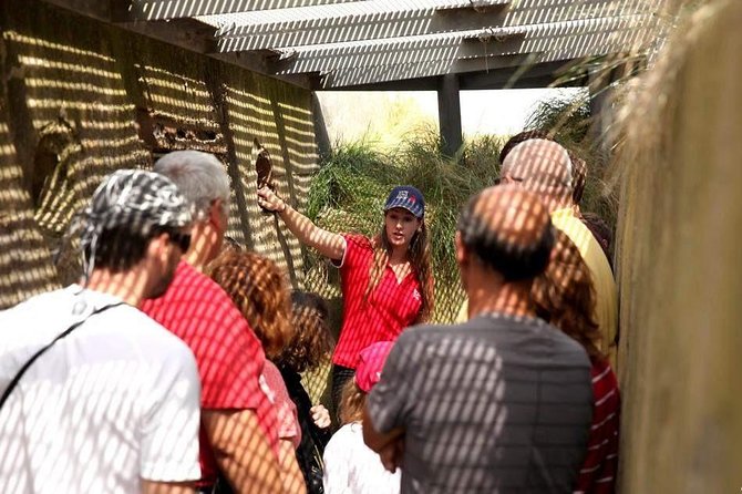 Normandy Battlefields Half Day Tour - Canadian World War II Sites - Why this Canadian tour is worth your afternoon