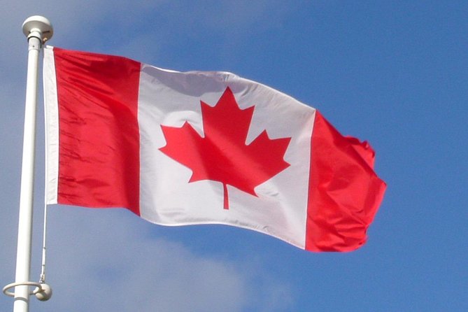 Normandy Battlefields Half Day Tour - Canadian World War II Sites - The value of a guide versus renting a car