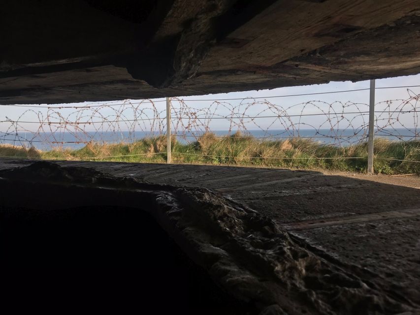 Normandy D-Day All Day Tour by Minibus from Paris - What the minibus journey is really like