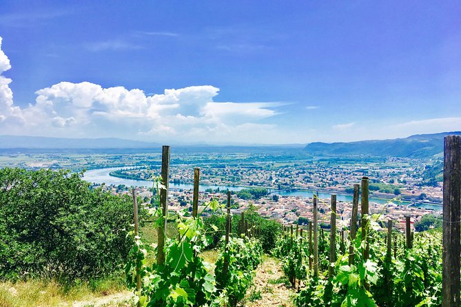 Northern Rhône Valley From Lyon Full day - Key points before you book