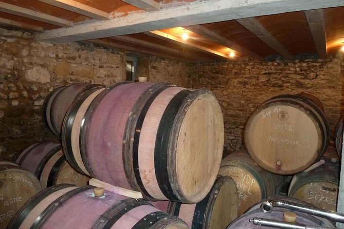 Northern Rhône Valley Wine tour from Lyon Half Day - Practical details that affect your day