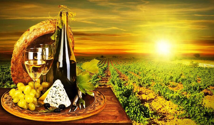 Organic Wine Tasting with Saint paul Half Day Tour from Nice - The afternoon begins with a Nice hotel pickup