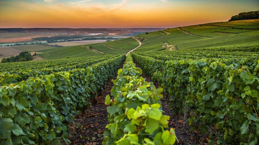 Organic Wine Tasting with Saint paul Half Day Tour from Nice - Saint Paul de Vence in a short but worthwhile visit