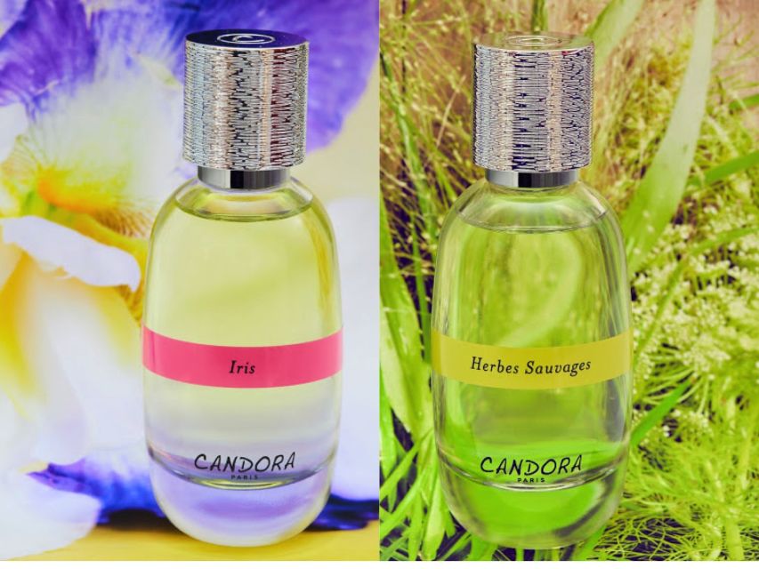 Paris: 2-Hour Perfume Creation Workshop - The quiz turns perfume into a story